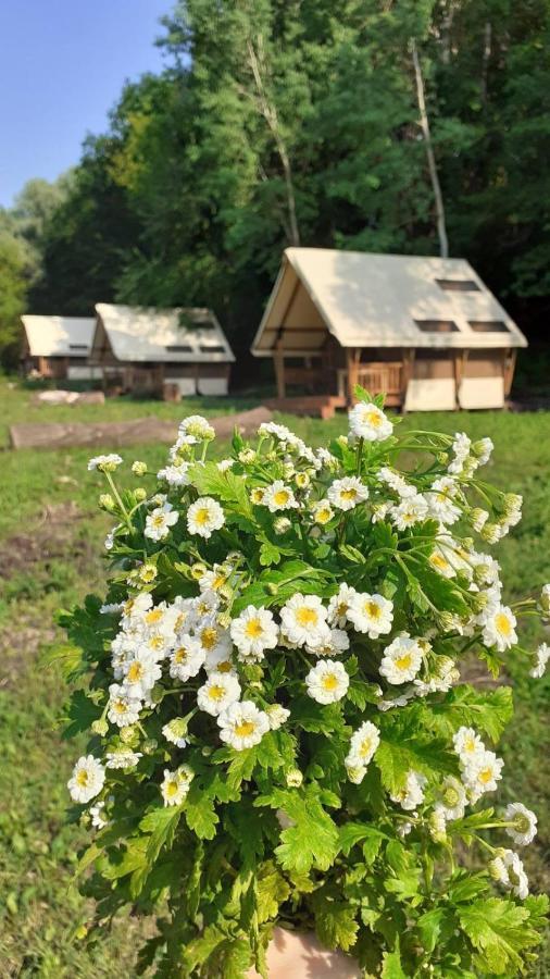 Hotel Глемпінг Шатро Ul'yaniki Exterior foto